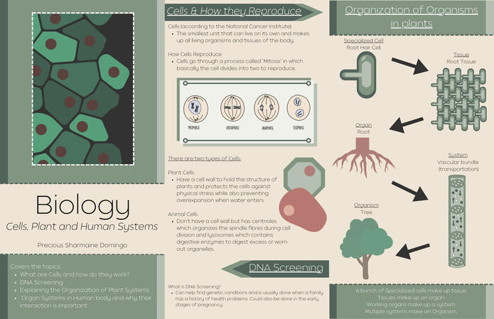 Gr.10 Biology